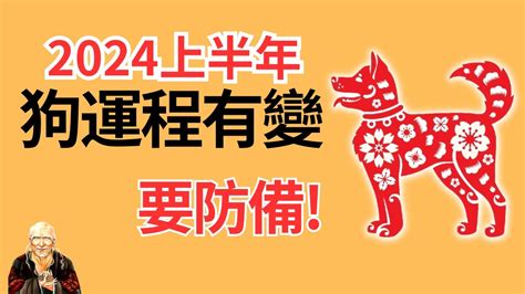 2024狗年運程1982|1982年属狗人2024年全年运势详解 42岁生肖狗2024年。